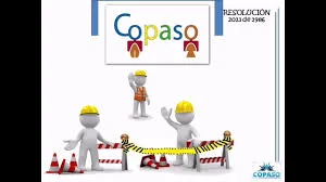 Resolución 2013