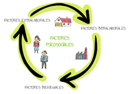 Decreto 2646