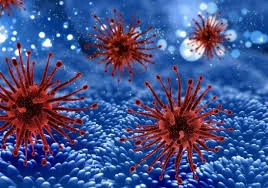 Paralelismo entre la Medicina  y la Fitopatología