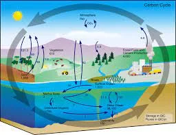 La tesis miasmática y  las ciencias agrícolas,