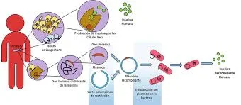 Herbert Boyer & Genentech