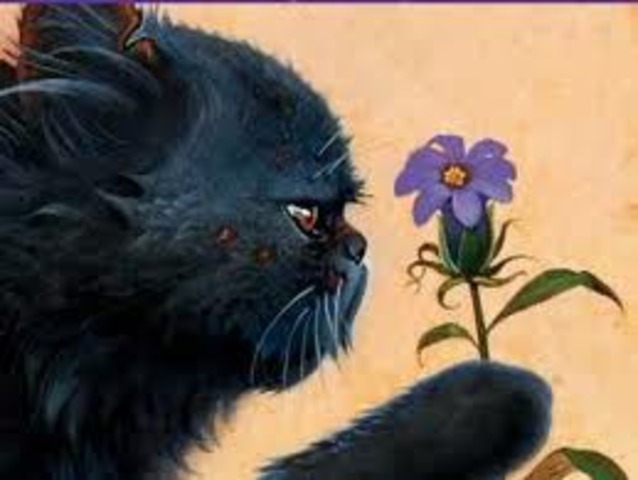 Dovepaw Recieves Dream