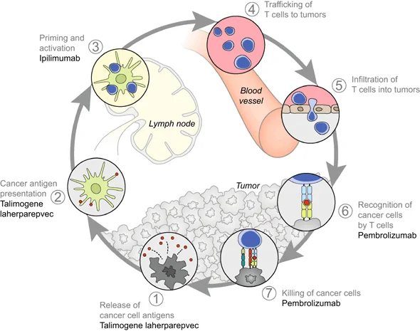 Aprobación de Talimogene laherparepvec