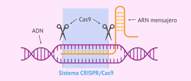 CRISPR-Cas9
