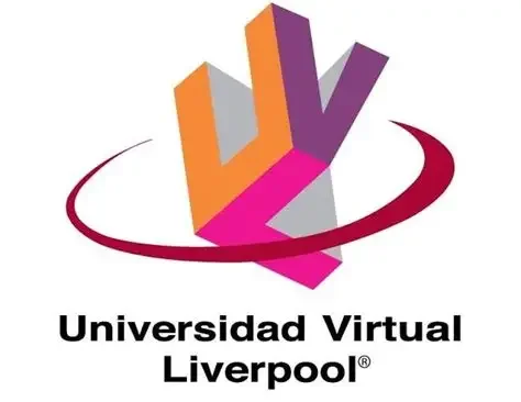 Programas de e-learning corporativo, México (2001- 2003)