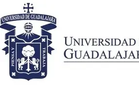 Primer proyecto Educación a Distancia UdeG
