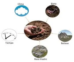 Modelo actual en fitopatología y medicina