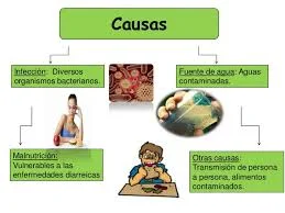 Causa de las enfermedades