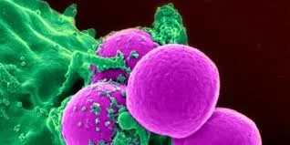 Oncologia experimental