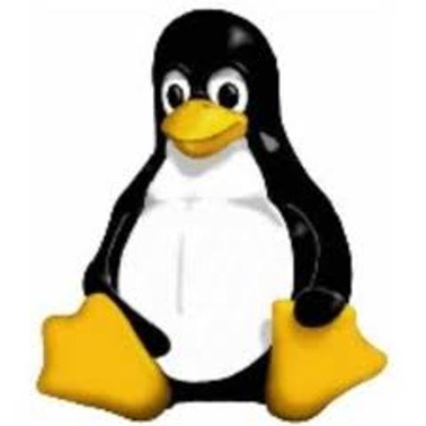 se libera la serie 2.4 del núcleo Linux. El núcleo Linux ahora soporta hasta 64 Gb de RAM, sistemas de 64 bits, dispositivos USB