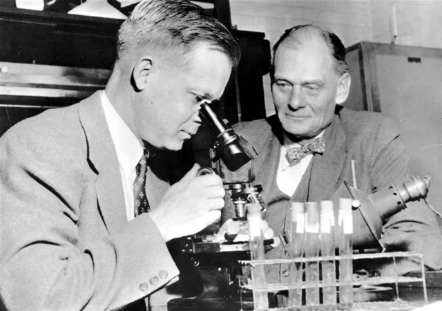 Siglo XIX – Microbiología científica