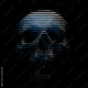 Ascii skull