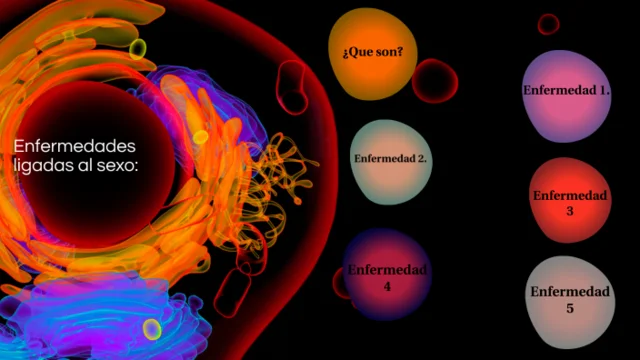 Otras Nociones De Causas