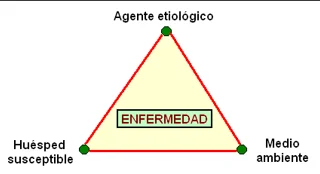 La Tríada De Enfermedad En La Fitopatología