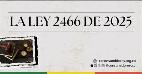 LEY 2466
