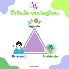 Otras Nociones de Causa: Multifactorialidad y Condiciones Predisponentes
