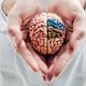 Maestria en neuropsicologia clinica mini