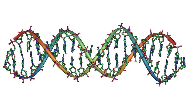 Herencia no basada en ADN — proteínas amiloides priónicas (2025)