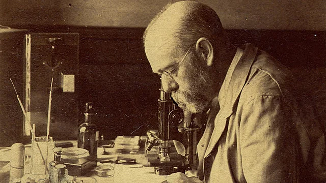 Teoría microbiana aplicada en fitopatología