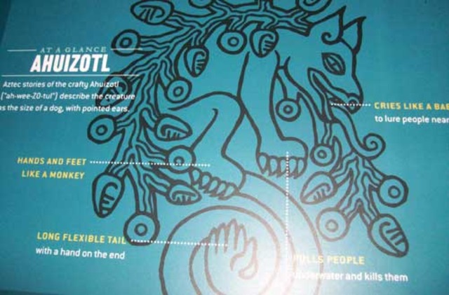 Ahuizotl