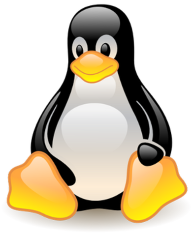 LAS PRIMERAS DISTRIBUCIONES DE LINUX SON CREADAS, Y SE PUBLICA LA VERSION 0.99.