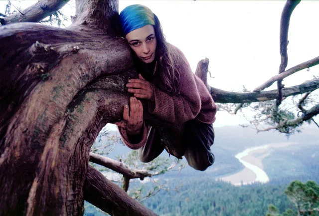Julia Butterfly fights for trees