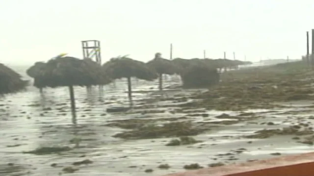 Hurricane Alex