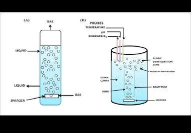 Desarrollo del biorreactor de columna de burbujeo