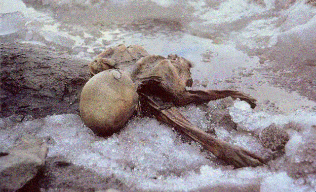 Otzi the Iceman