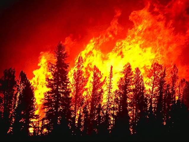 Yellowstone Park Fire