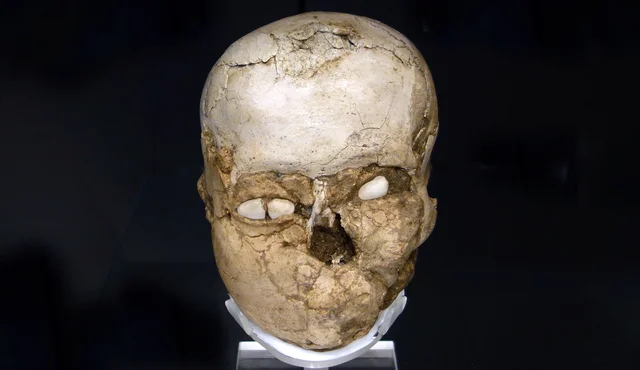 Plastered human skull with shell eyes from jericho (c. 7200 B.C.E, Neolithic) (The British Museum, London)