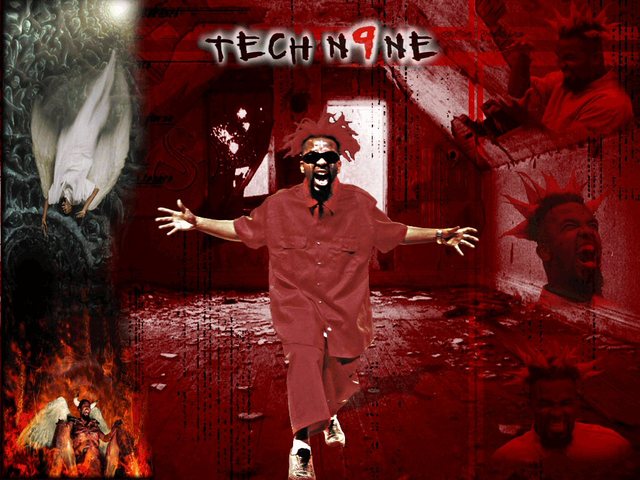 went to tech n9ne concert