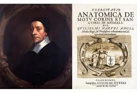 Circulación sanguínea