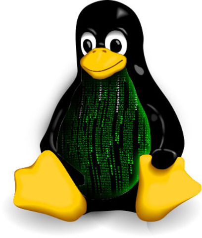 •	Lanzamiento Linux 2.4
