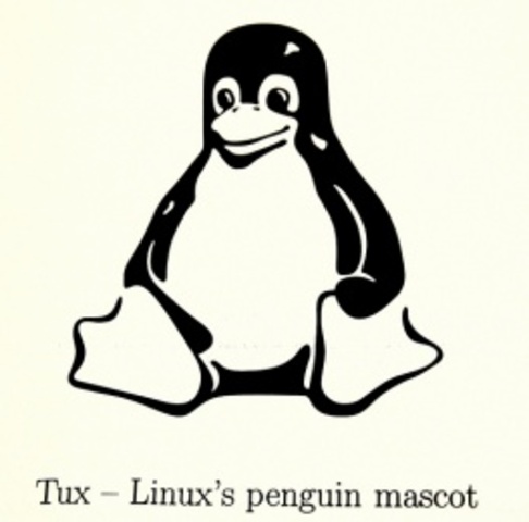 la primera vercion de linux 0.01