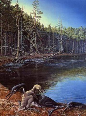 Tertiary 65-1.8 Million Years Ago