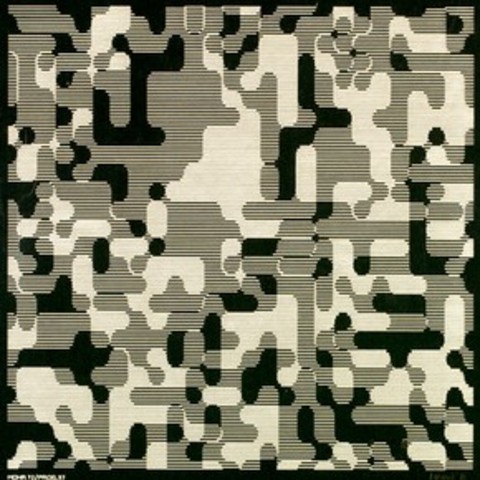 privatizacion del software