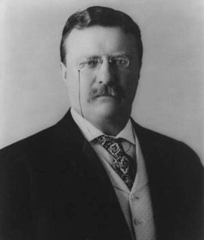 Theodore Roosevelt