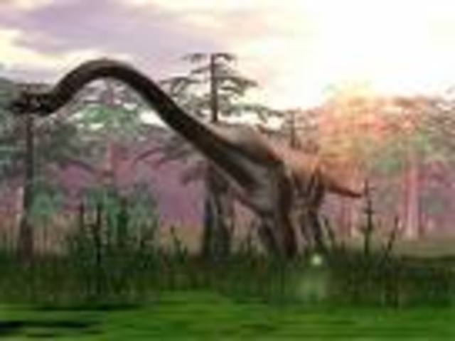 Cretaceous 163-65 MYA