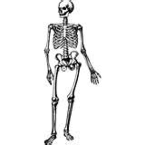 Willie dies of a fever