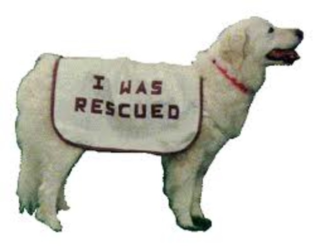 The Rescue