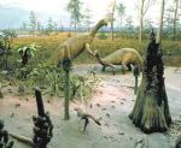 Triassic 225- 195MYA