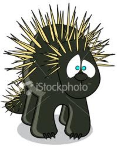 The porcupine