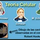 Teoria celular