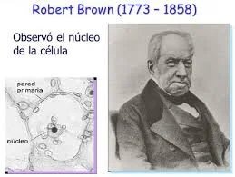 Descubrimiento del núcleo