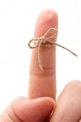 Brian remembers about the survival pack.