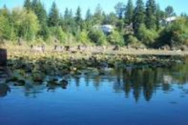 Brian made a pond for the live fish