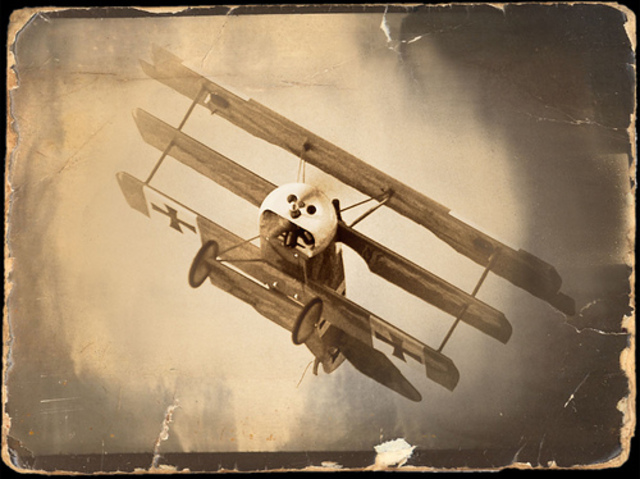 First Aeroplane Raid