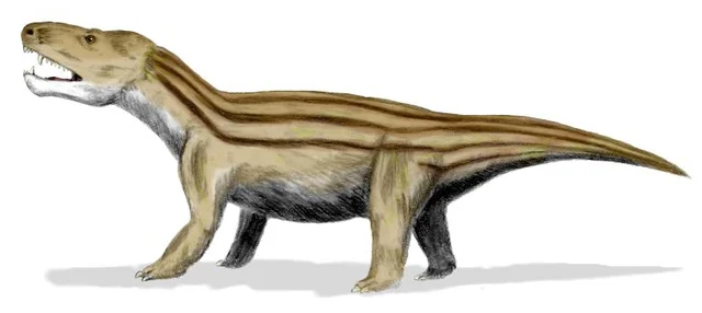 Primers rèptils mamiferoides