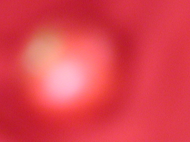 Photography Graduate School